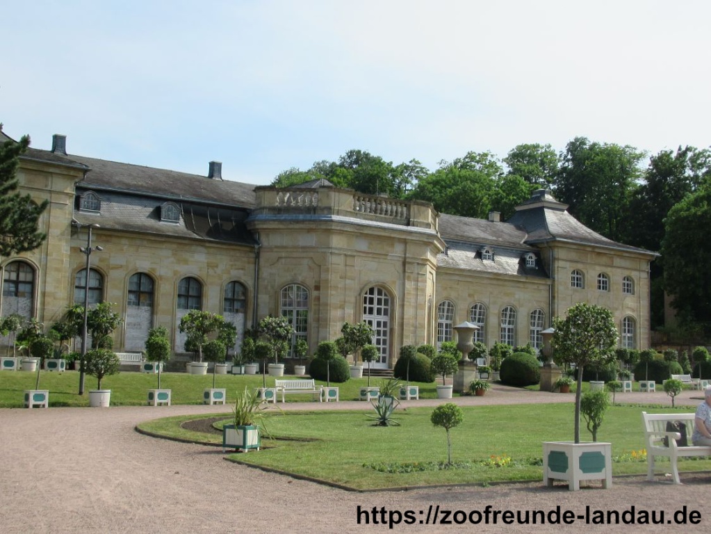 Gotha - Orangerie Gotha - Orangerie