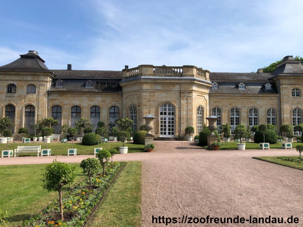 Gotha - Orangerie 2 Gotha - Orangerie 2