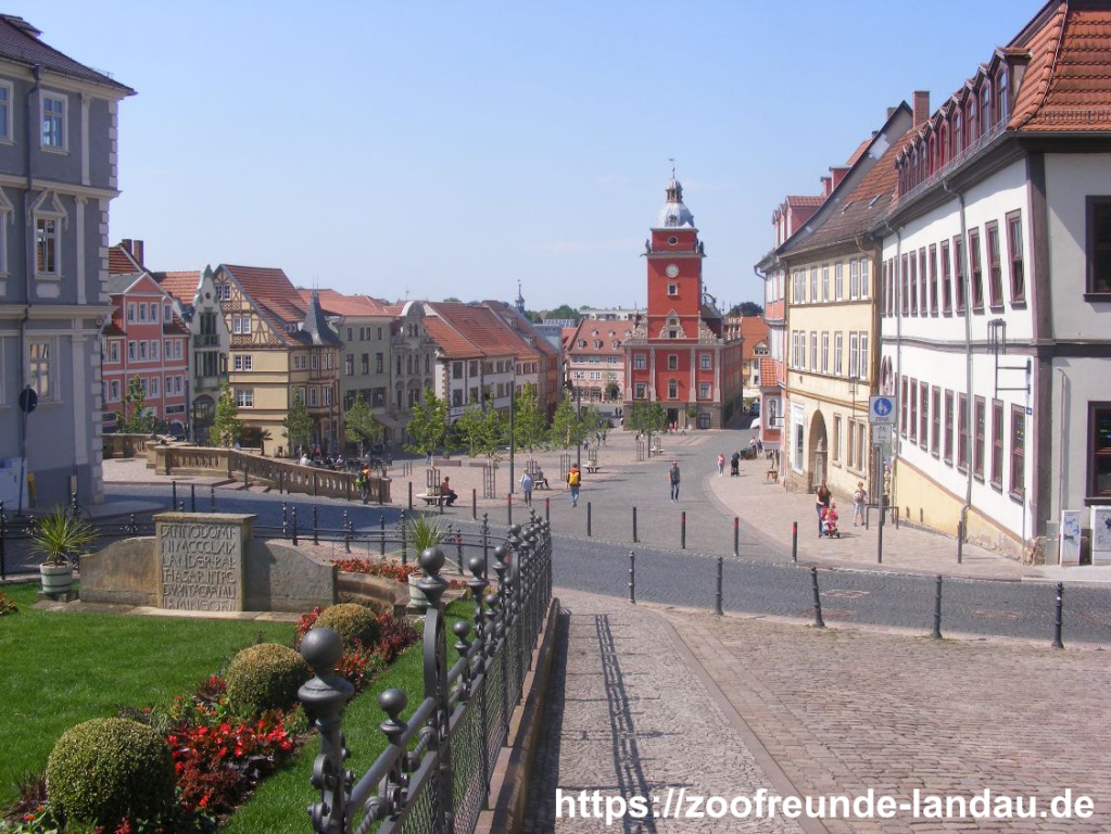 Gotha - Rathaus Gotha