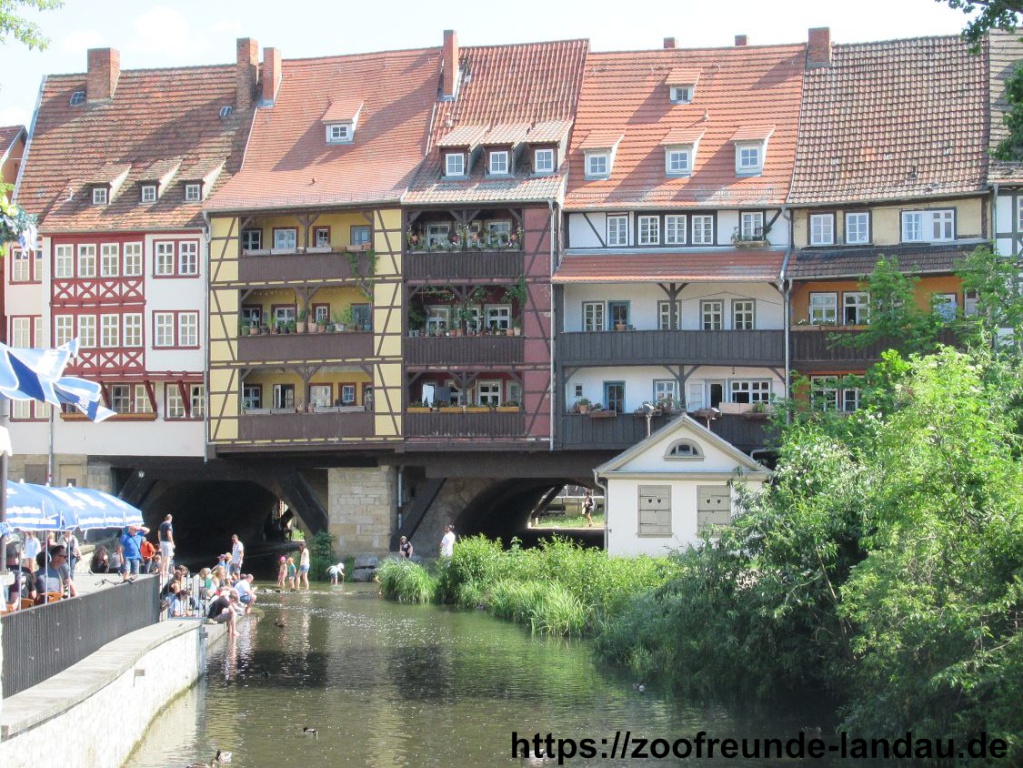 Erfurt - Kraemerbrücke Erfurt - Kraemerbrücke