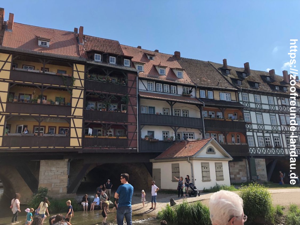 Erfurt - Kraemerbrücke 2