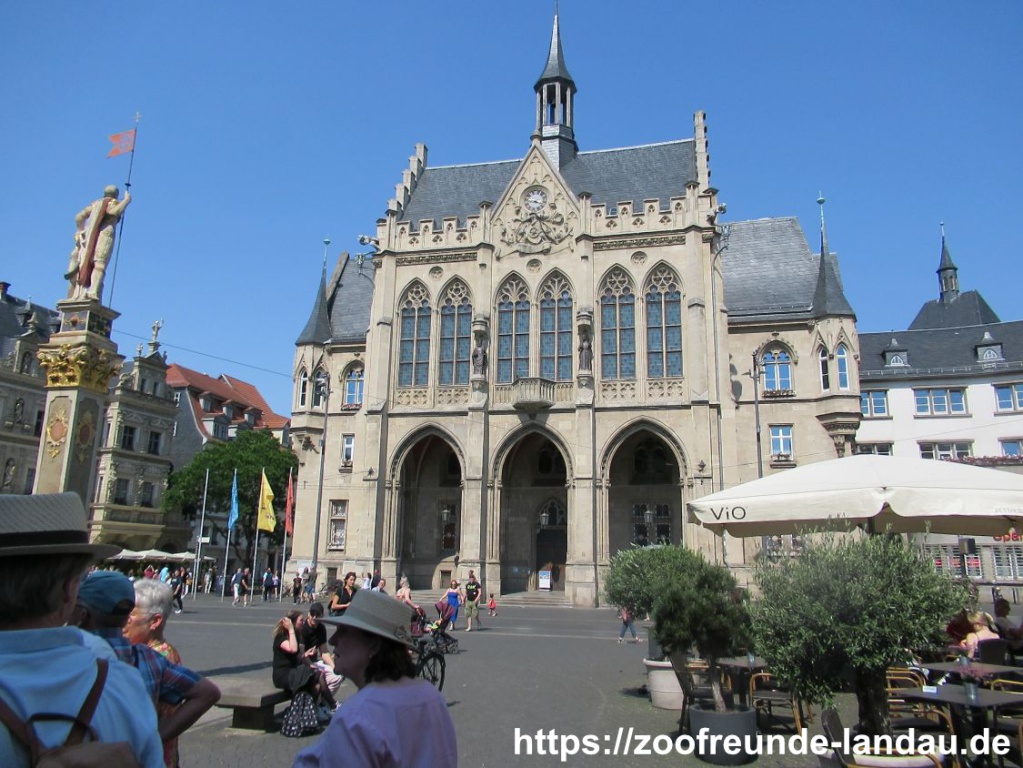 Erfurt - Rathaus Erfurt - Rathaus