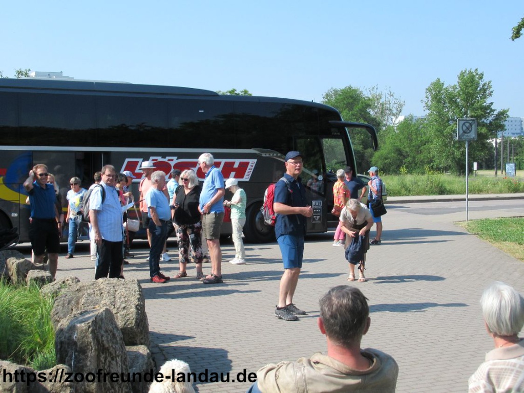 Erfurt - Am Zoo