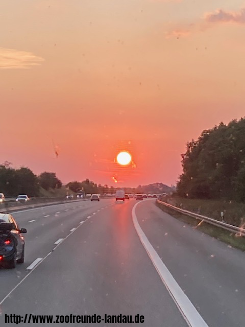 Magdeburg - Rückreise mit Sonnenuntergang über der Autobahn - Gerhard Krebs Magdeburg - Rückreise mit Sonnenuntergang über der Autobahn - Gerhard Krebs