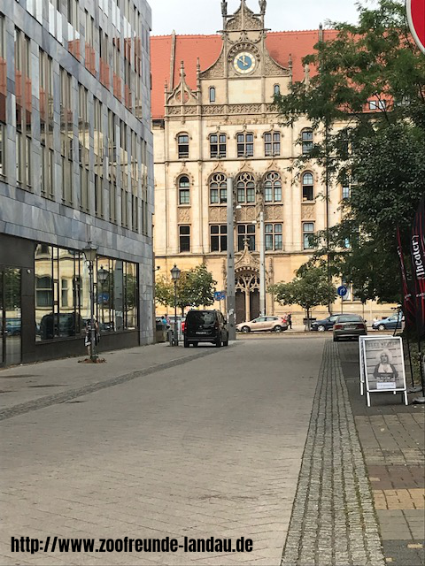 Magdeburg - Rathaus - Johannes Theobald Magdeburg - Rathaus - Johannes Theobald