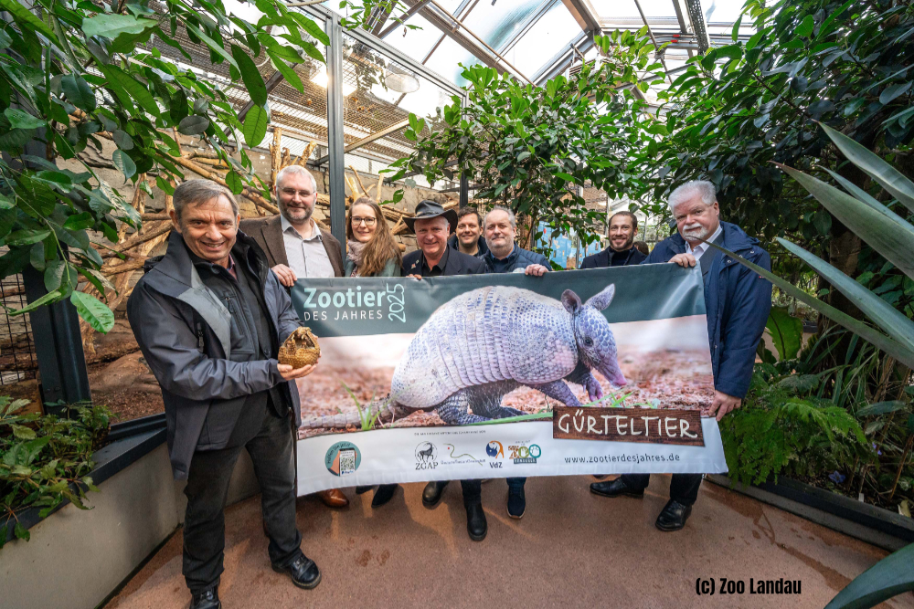 Zootier des Jahres 2025 Zootier des Jahres 2025